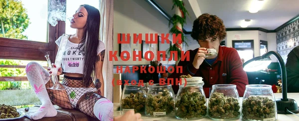 дмт Белокуриха