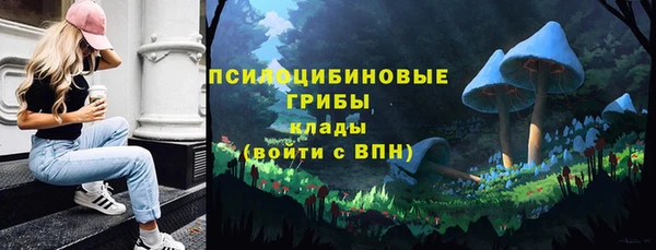 дмт Белокуриха